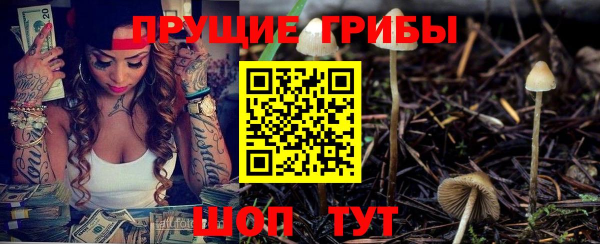Псилоцибиновые грибы MAGIC MUSHROOMS  Вход с VPN  Коркино 