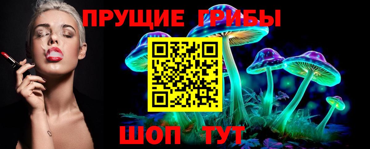 Псилоцибиновые грибы прущие грибы Коркино